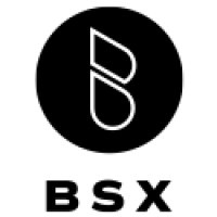 The BSX Group logo - Similar company to Endexx Corporation (Otc: Edxc)