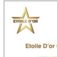 Etoile D'or Group logo - Similar company to Leadmatrix