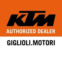 Giglioli Motori S.R.L. logo - Similar company to Cmf Srl
