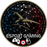 AAE Esport logo - Similar company to Gamegend