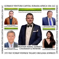 GORMUS VENTURE CAPITAL EURASIA AFRICA USA LLC logo - Similar company to Chami Group