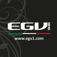 EGV1 logo - Similar company to Principe - S.P.A.