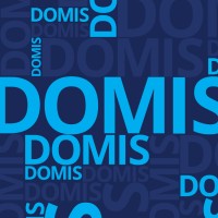 DOMIS Group logo - Similar company to Psp Services