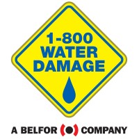 1-800 WATER DAMAGE logo - Similar company to Blue Kangaroo Packoutz