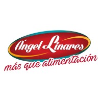 Ángel Linares Montalbán logo - Similar company to Lormeca