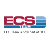 ECS Team logo - Similar company to Connecta Ab