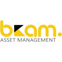 BK Asset Management logo - Similar company to Bk Management