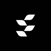 Fuzion Capital logo - Similar company to Advize