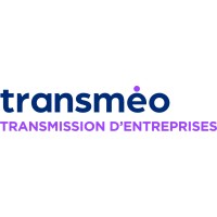 TRANSMEO logo - Similar company to Af Projets
