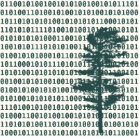White Pine Digital logo - Similar company to Park