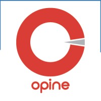 Opine Infotech Pvt Ltd logo - Similar company to Duoph Technologies