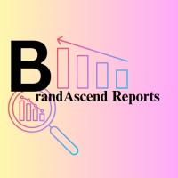 BrandAscend Reports logo - Similar company to Trendsavvy Solutions