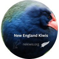New England Kiwis logo - Similar company to Iconimi