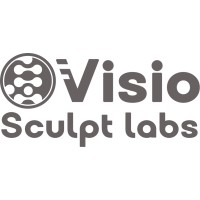 VisioSculpt Labs Design Agency logo - Similar company to Deskit Technologies