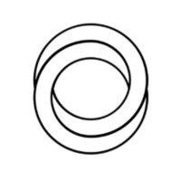 Perfect Loop Technologies L.L.C. logo - Similar company to Boom Software Ltd
