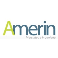 Amerin logo - Similar company to Escalate Group