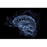 Psychology Works, Inc. logo - Similar company to Coachrami