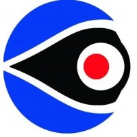 Top Choice Surveillance Limited logo - Similar company to EmpꓥVolve
