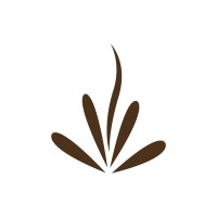 Spa Lótus BH logo - Similar company to Vive Design