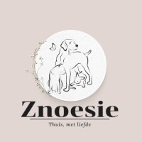 Znoesie logo - Similar company to Artizta