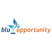 Blu Opportunity logo - Similar company to Tutu Cash