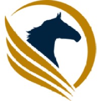 Pegasus Accountants logo - Similar company to Tradifrais