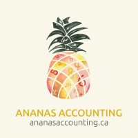 Ananas Accounting logo - Similar company to M Compliance Group