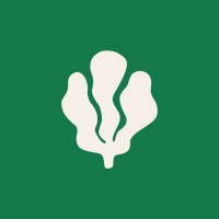 Studio Diser logo - Similar company to Bybrick Development