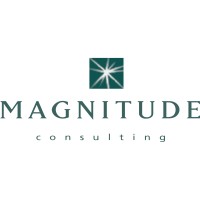 Magnitude Consulting logo - Similar company to Maisters