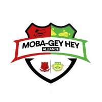 MOBA-GEYHEY Alliance logo - Similar company to Institute Of Applied Project Management