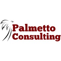 Palmetto Consulting logo - Similar company to Waveoc