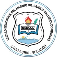 Unidad Educativa del Milenio Dr Camilo Gallegos Domínguez logo - Similar company to Unidad Educativa American School