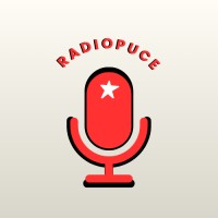 Radiopuce / MediaPros logo - Similar company to Coufund