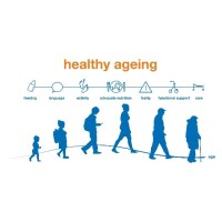Lectoraat Healthy Ageing, Allied Health Care and Nursing logo - Similar company to Intelligent Technologies In Education