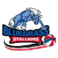 Bluegrass Stallions