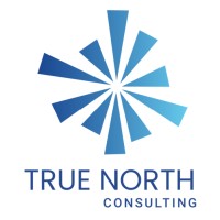 True North Consulting FZ-LLC logo - Similar company to Chosen Consulting