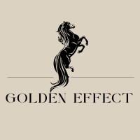 Golden Effect logo - Similar company to Kaan Winkelstelling