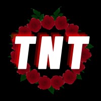 TNT Creative logo - Similar company to De Kwekerij