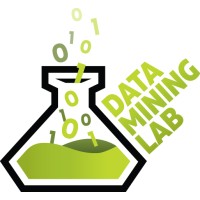 Data Mining Lab logo - Similar company to Dmie - Bi, Ia E Crm