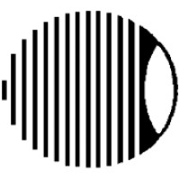 East Florida Eye Institute logo - Similar company to Vizient Southeast
