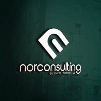 Norconsulting Business Solutions logo - Similar company to Grupo Brandis