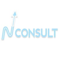 N Consult Oy