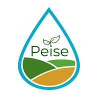 Peise logo - Similar company to Agro Parallel