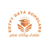 Egypt Data Scholars logo - Similar company to Eib Academy