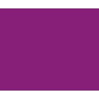 Purple Leadership logo - Similar company to Purple Leadership Coaching
