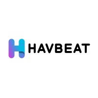 Havbeat Technology Co., Ltd. logo - Similar company to Vikingbar.Org