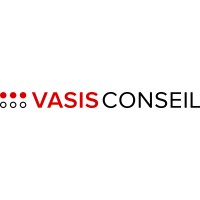 Vasis Conseil logo - Similar company to Paymefy