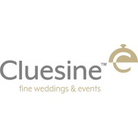 Cluesine logo - Similar company to Youwe Productions Gmbh