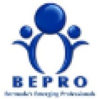 Bermuda'S Emerging Professionals (Bepro)