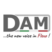 DAM Italy logo - Similar company to Vianord Engineering